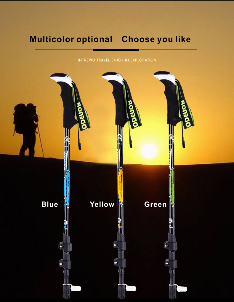 3 Sections Alpenstock DFTXB-2 (2).jpg