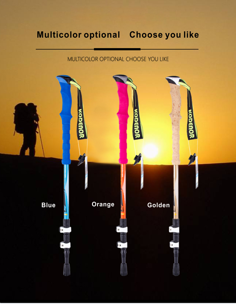 3 Sections Alpenstock DFTZL-7 (2).jpg