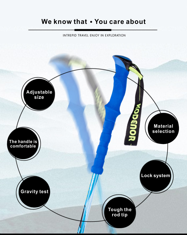3 Sections Alpenstock DFTZL-7 (3).jpg
