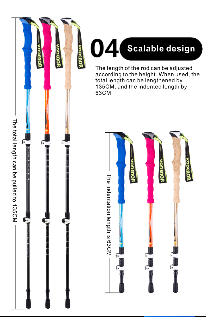 3 Sections Alpenstock DFTZL-7 (6).jpg