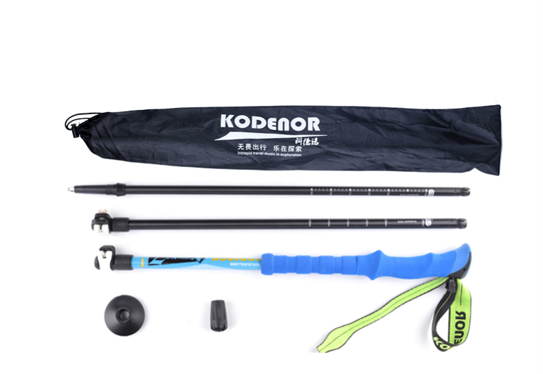 3 Sections Alpenstock DFTZL-7 (13).jpg
