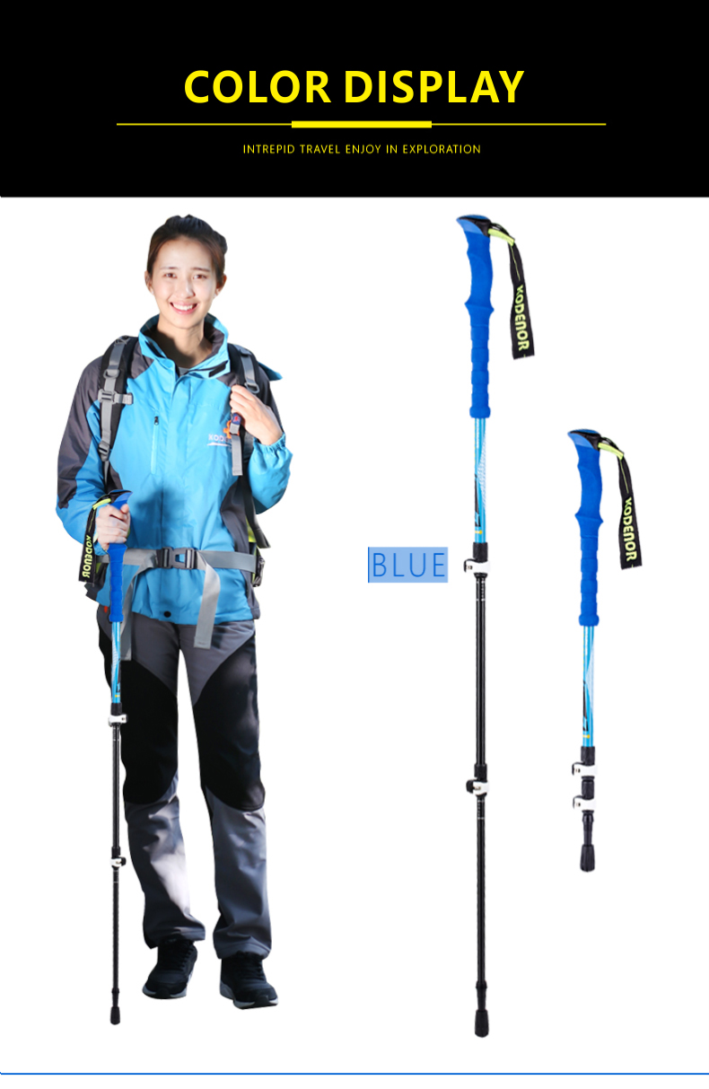3 Sections Alpenstock DFTZL-7 (8).jpg