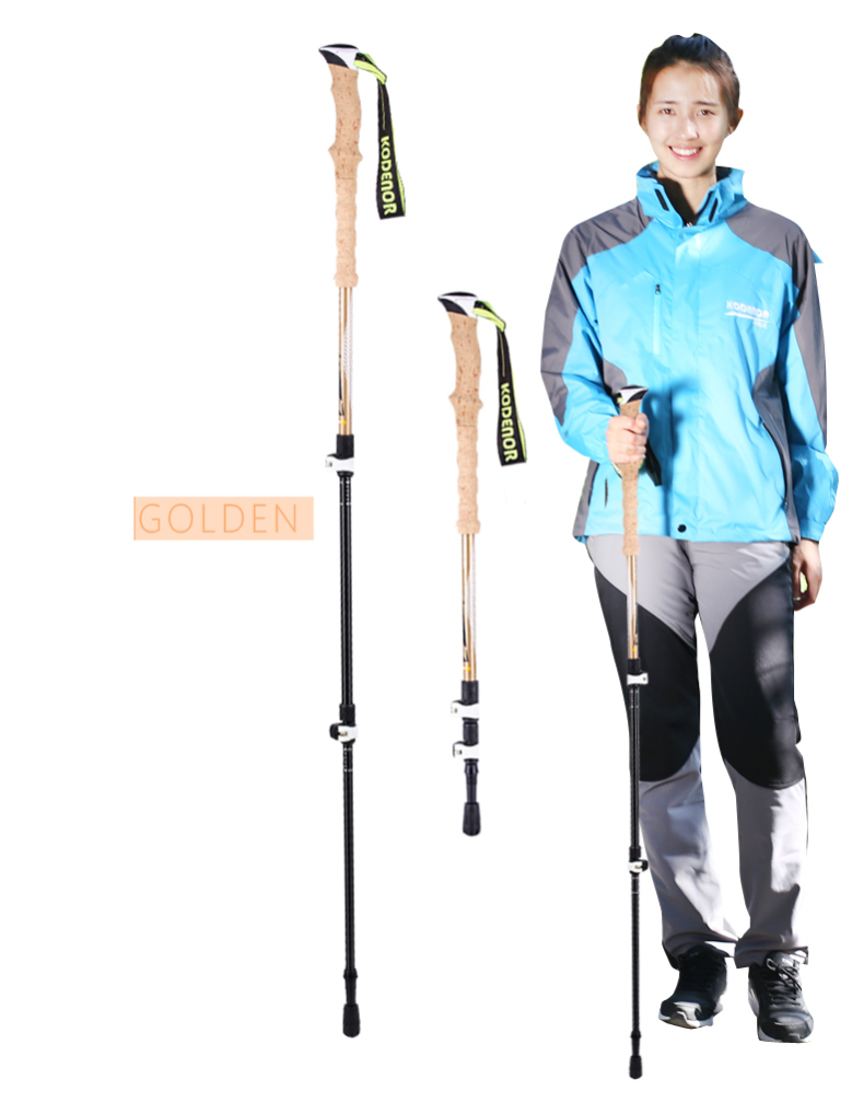 3 Sections Alpenstock DFTZL-7 (9).jpg