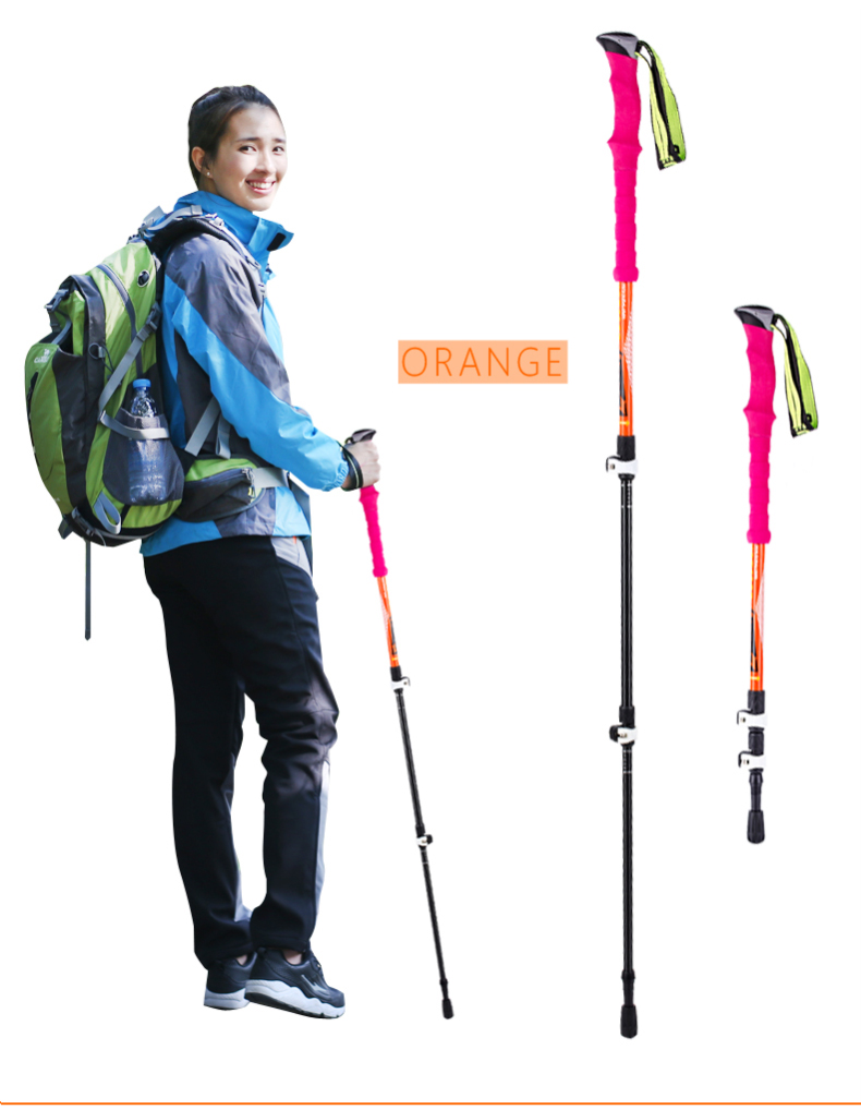 3 Sections Alpenstock DFTZL-7 (10).jpg