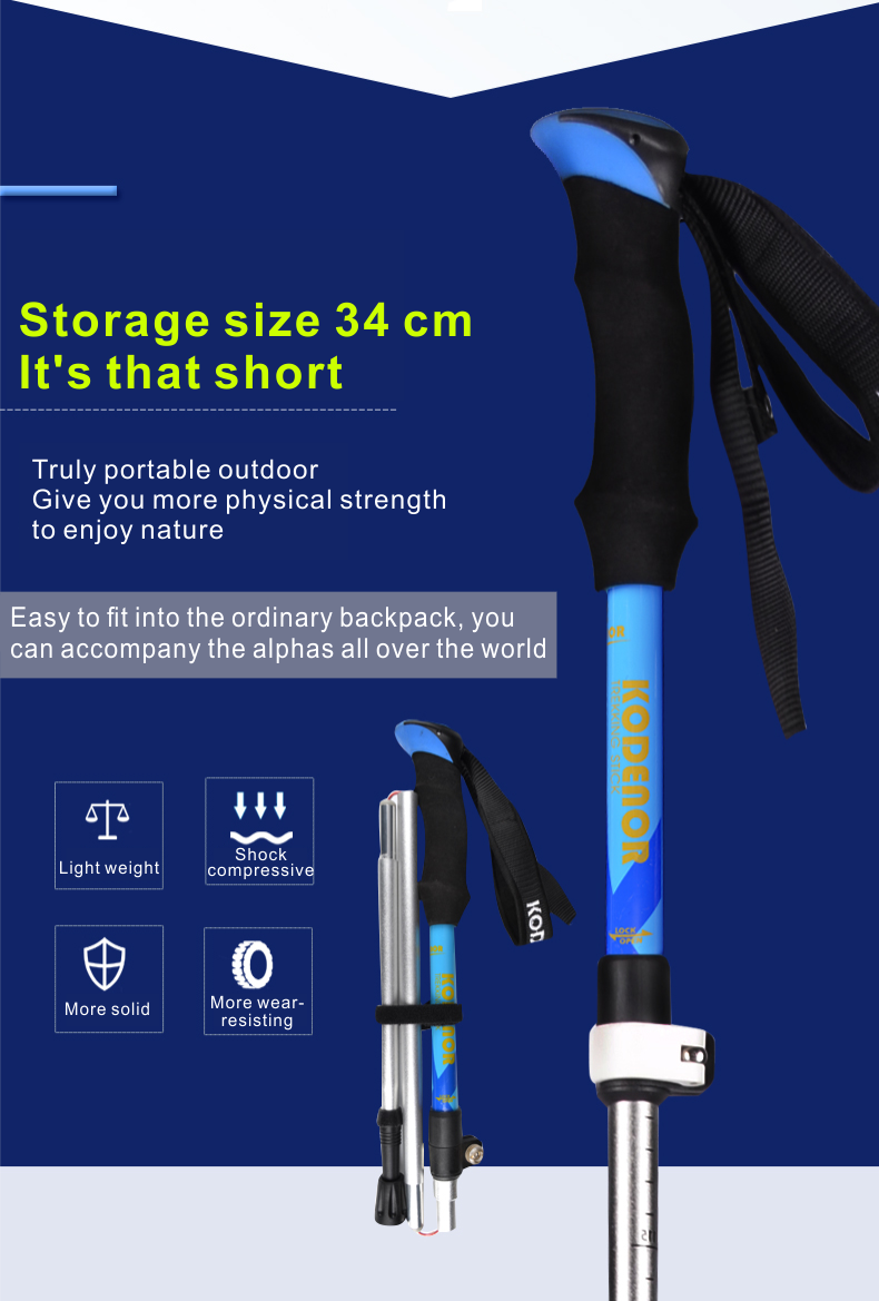 5 Sections Alpenstock DFTZYG-2 (5).PNG
