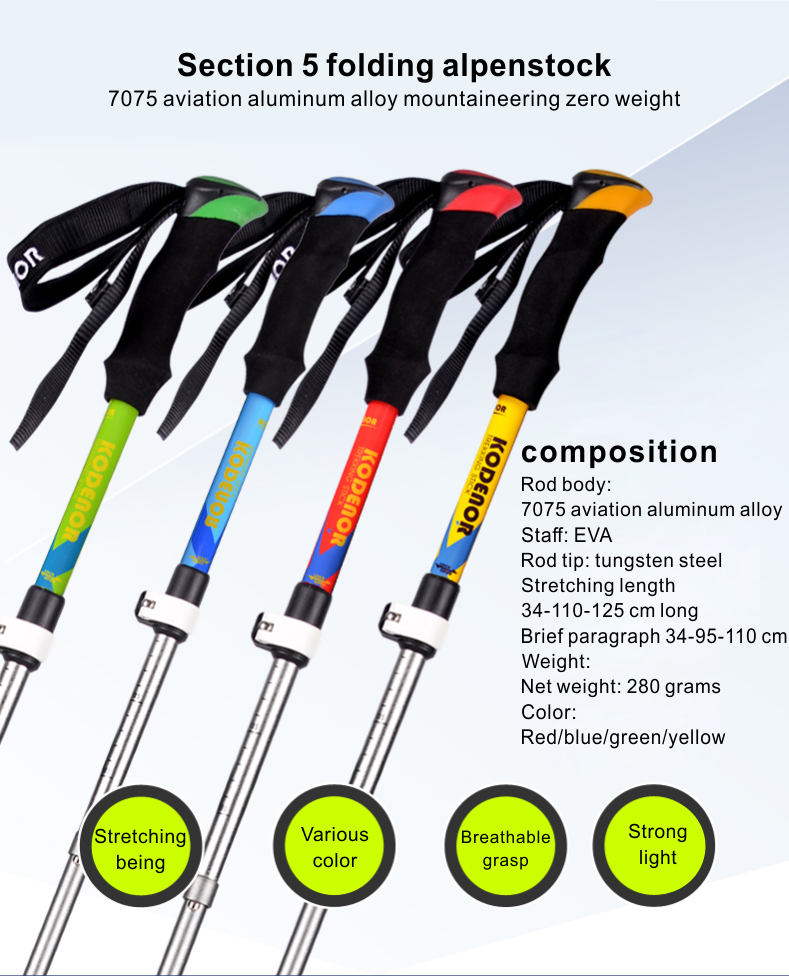 5 Sections Alpenstock DFTZYG-2 (1).PNG
