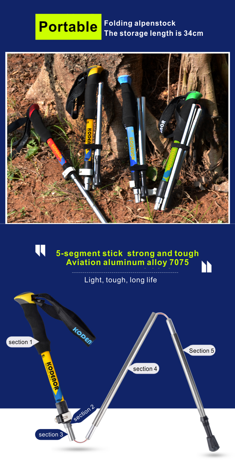5 Sections Alpenstock DFTZYG-2 (2).PNG