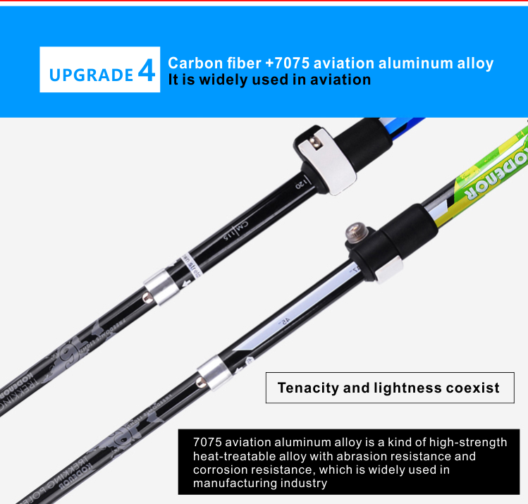 5 Sections Alpenstock DFTZYG-6 (9).PNG