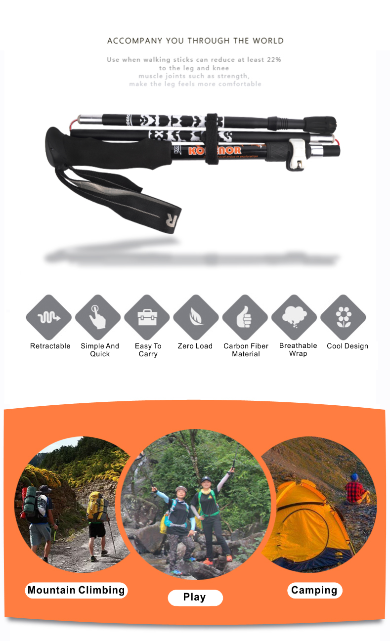 5 Sections Alpenstock DFTZYG-3 (2).PNG