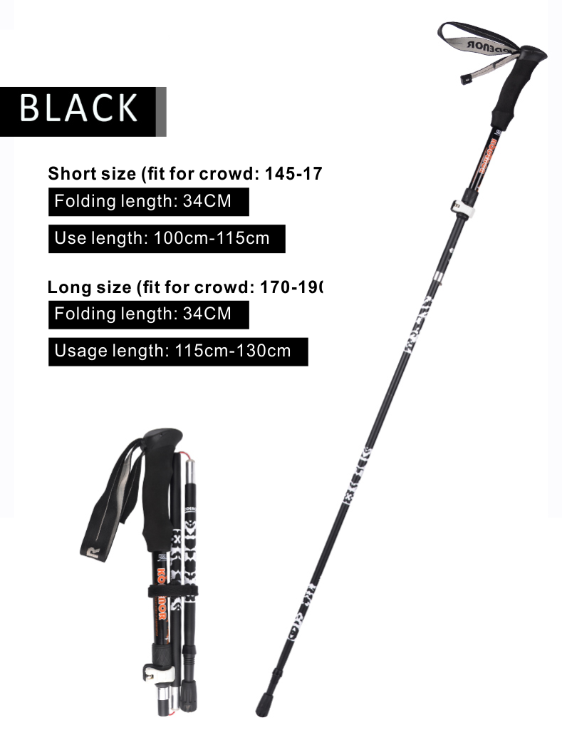 5 Sections Alpenstock DFTZYG-3 (10).PNG