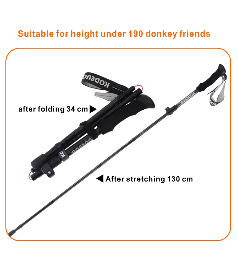 5 Sections Alpenstock DFTZYG-1 (8).PNG