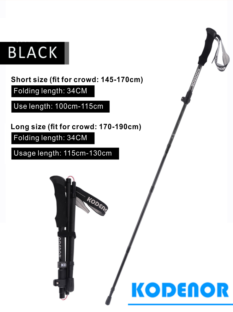 5 Sections Alpenstock DFTZYG-1 (10).PNG